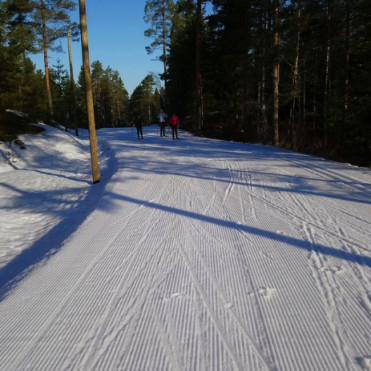 Vora skidor2