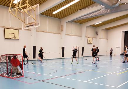 salibandy