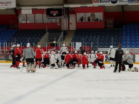 ishockey 2