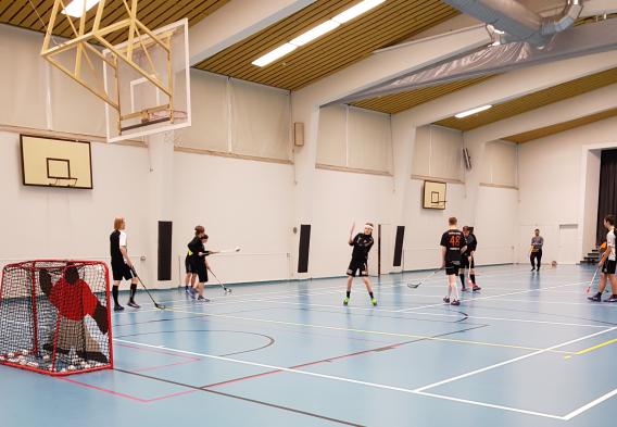 salibandy2